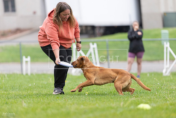 RielVisuals_20260518_184607_SJR_5146