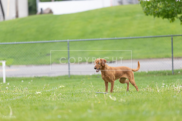 RielVisuals_20260518_184619_SJR_5153