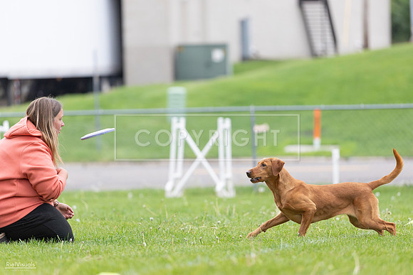 RielVisuals_20260518_184623_SJR_5162