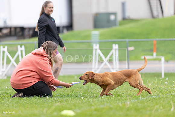 RielVisuals_20260518_184627_SJR_5184