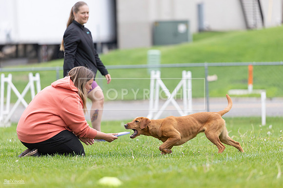 RielVisuals_20260518_184627_SJR_5185