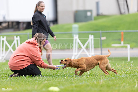 RielVisuals_20260518_184627_SJR_5186