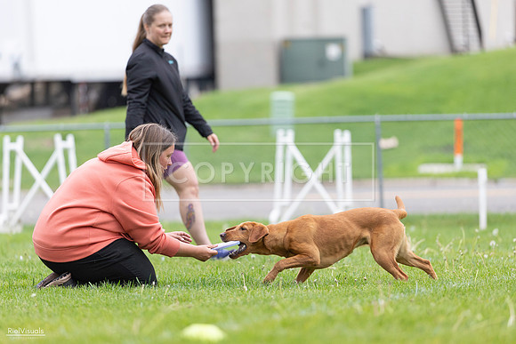 RielVisuals_20260518_184627_SJR_5187