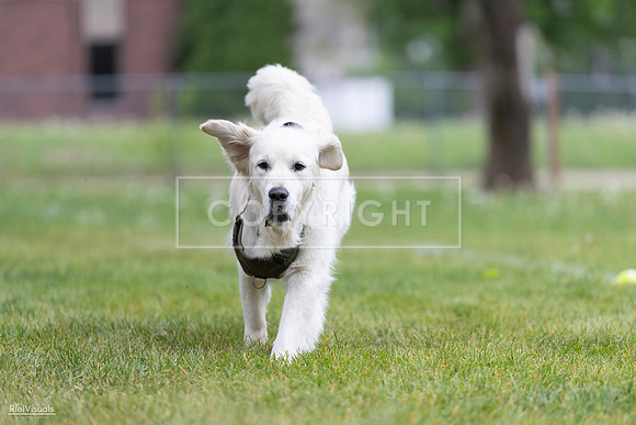 RielVisuals_20260518_184814_SJR_5213