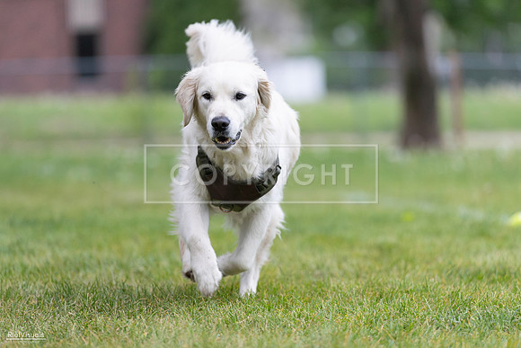 RielVisuals_20260518_184814_SJR_5220