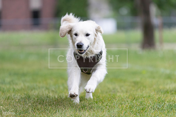 RielVisuals_20260518_184814_SJR_5224