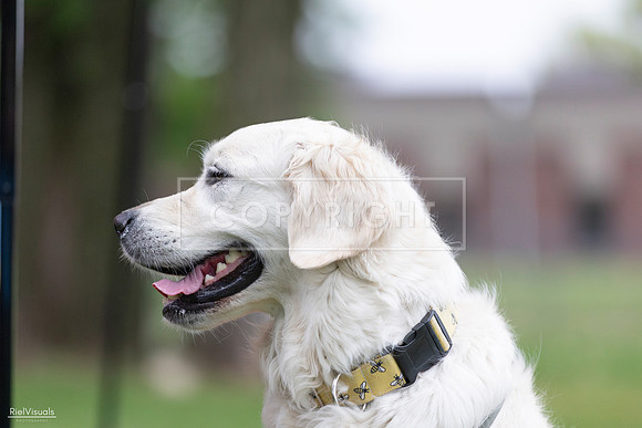 RielVisuals_20260518_184914_SJR_5245