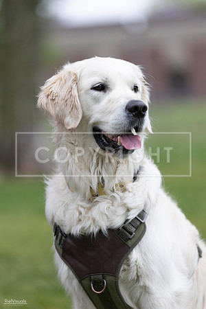 RielVisuals_20260518_184920_SJR_5258