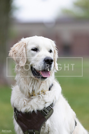 RielVisuals_20260518_184927_SJR_5270