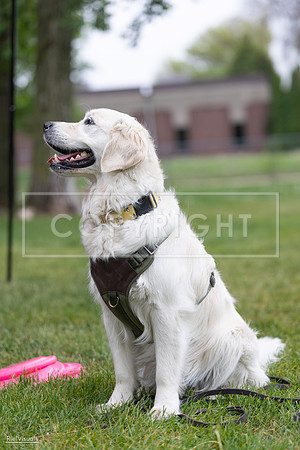 RielVisuals_20260518_184932_SJR_5287