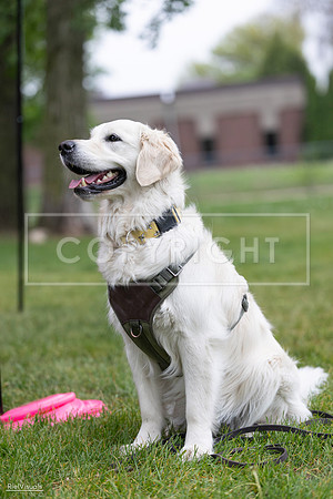 RielVisuals_20260518_184933_SJR_5296