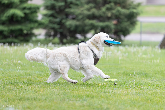 RielVisuals_20260518_185059_SJR_5325