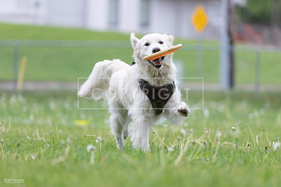 RielVisuals_20260518_185109_SJR_5340