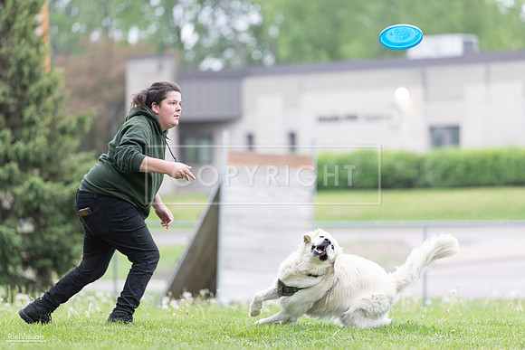 RielVisuals_20260518_185134_SJR_5420