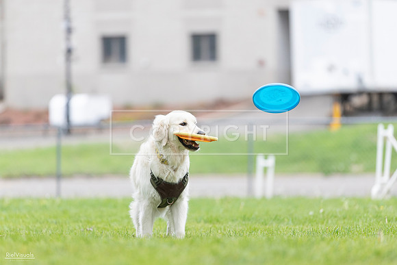 RielVisuals_20260518_185153_SJR_5507