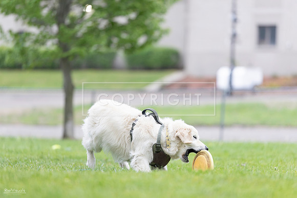 RielVisuals_20260518_185147_SJR_5468