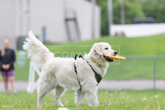 RielVisuals_20260518_185155_SJR_5523