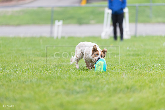 RielVisuals_20260518_185421_SJR_5538