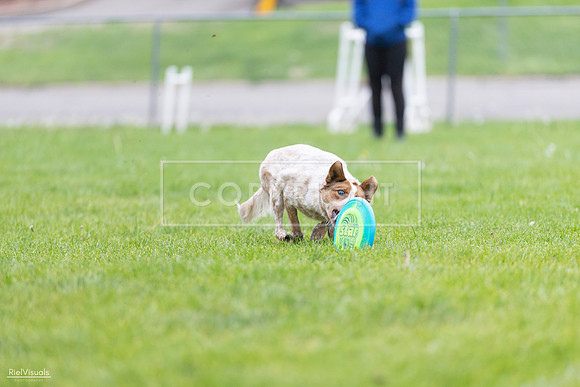 RielVisuals_20260518_185421_SJR_5539