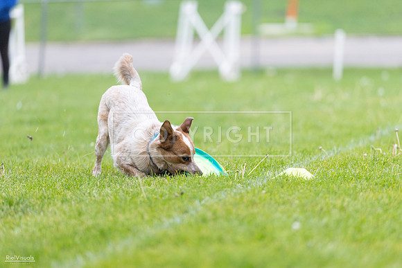 RielVisuals_20260518_185421_SJR_5550