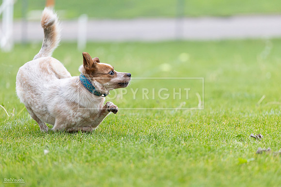 RielVisuals_20260518_185421_SJR_5559