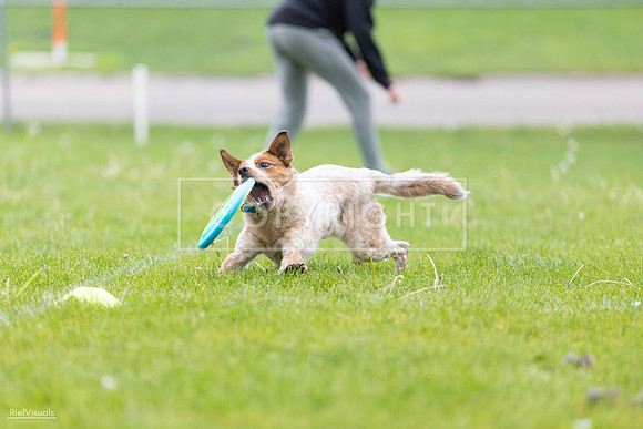 RielVisuals_20260518_185439_SJR_5613