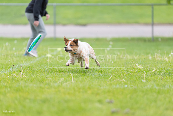 RielVisuals_20260518_185439_SJR_5604