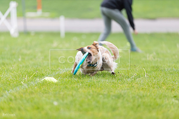 RielVisuals_20260518_185439_SJR_5616