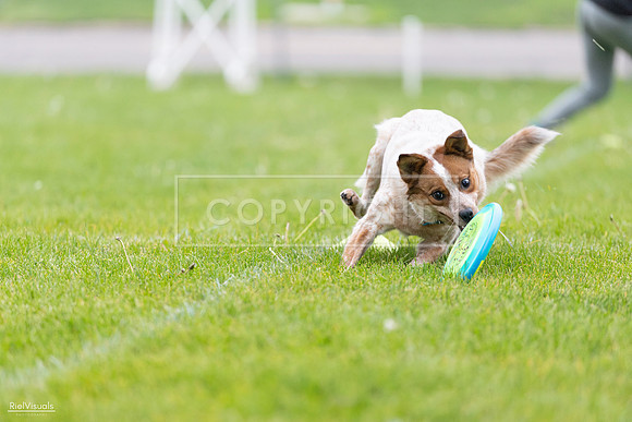 RielVisuals_20260518_185439_SJR_5624