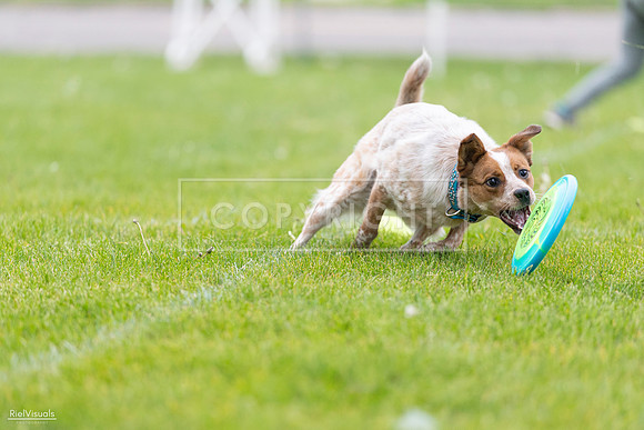 RielVisuals_20260518_185439_SJR_5627