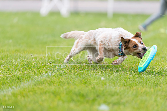 RielVisuals_20260518_185439_SJR_5629