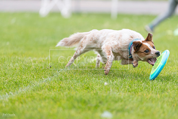 RielVisuals_20260518_185439_SJR_5630