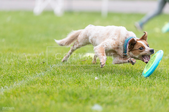 RielVisuals_20260518_185439_SJR_5631