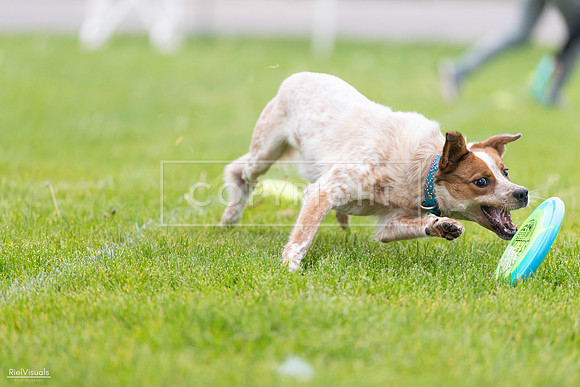 RielVisuals_20260518_185439_SJR_5633