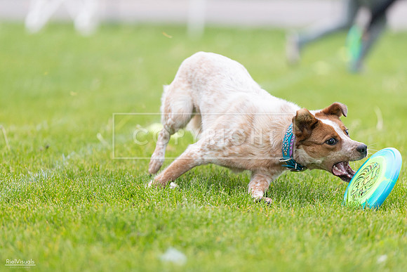 RielVisuals_20260518_185440_SJR_5635