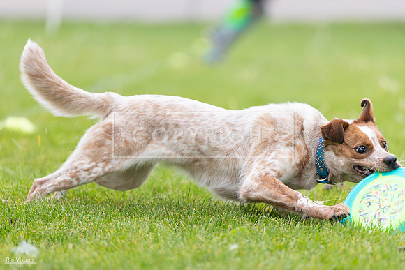 RielVisuals_20260518_185440_SJR_5641