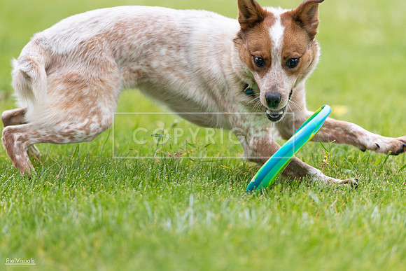 RielVisuals_20260518_185440_SJR_5654