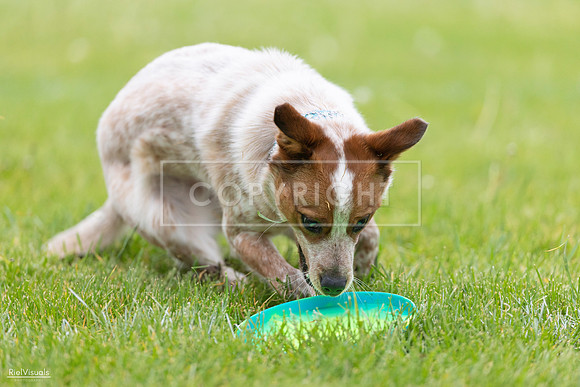 RielVisuals_20260518_185440_SJR_5662