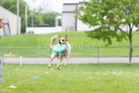 RielVisuals_20260518_185445_SJR_5683