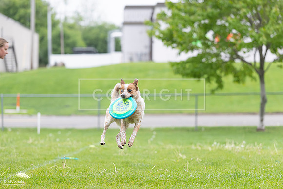 RielVisuals_20260518_185445_SJR_5685