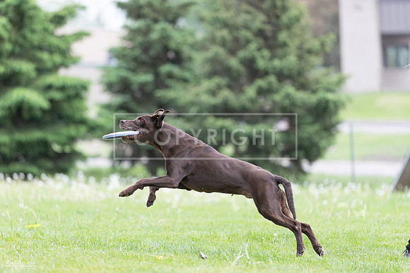 RielVisuals_20260518_185639_SJR_5733
