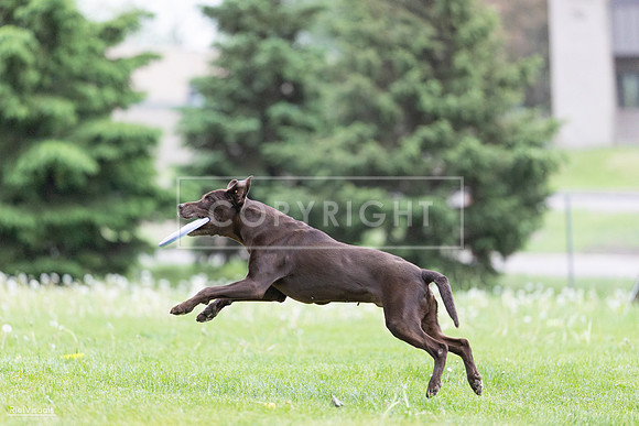 RielVisuals_20260518_185639_SJR_5734
