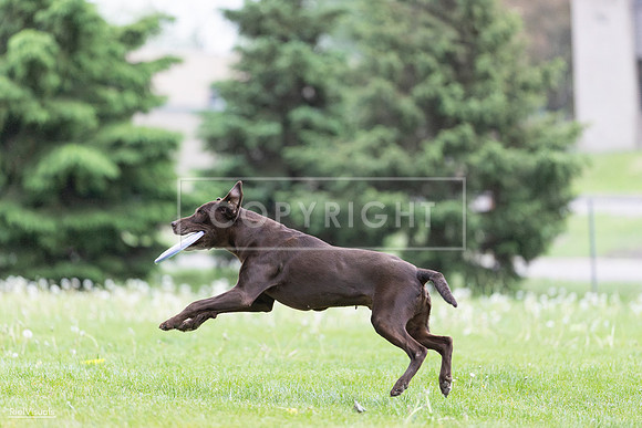 RielVisuals_20260518_185639_SJR_5735