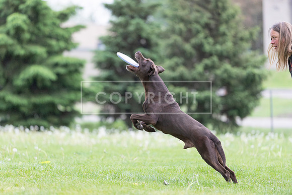 RielVisuals_20260518_185710_SJR_5809