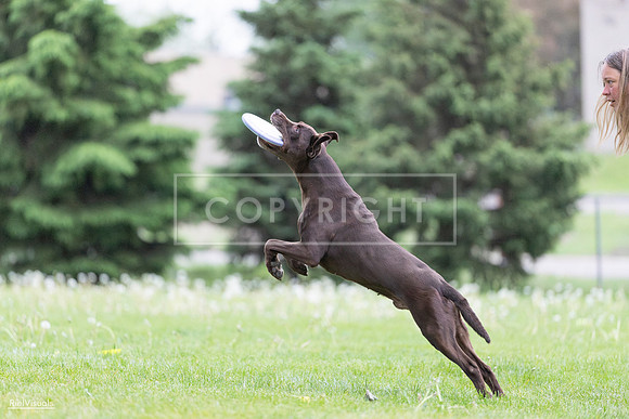 RielVisuals_20260518_185710_SJR_5810