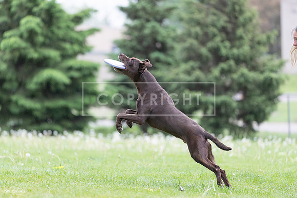 RielVisuals_20260518_185710_SJR_5811