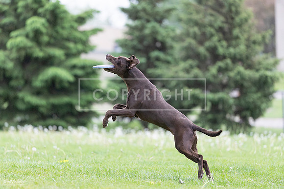 RielVisuals_20260518_185710_SJR_5812