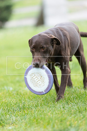 RielVisuals_20260518_185745_SJR_5907