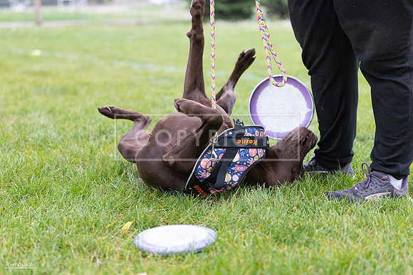 RielVisuals_20260518_185801_SJR_5919