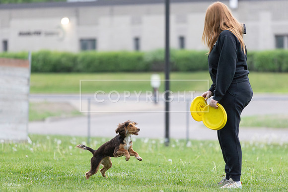 RielVisuals_20260518_185902_SJR_5951